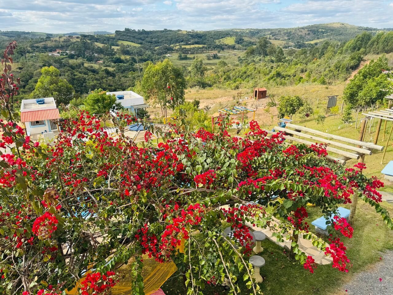 A lush garden with vibrant red flowers, a wooden pergola, and a view of rolling hills in the background.