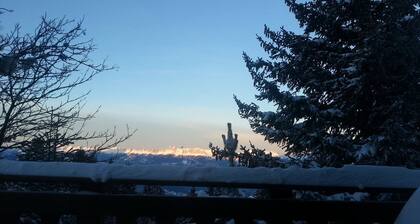 Chalet des lupins - Chalet 1P2