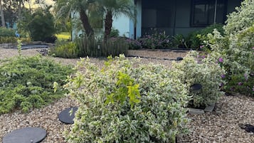 Un jardin aménagé avec une grande variété de plantes et un bâtiment en arrière-plan.