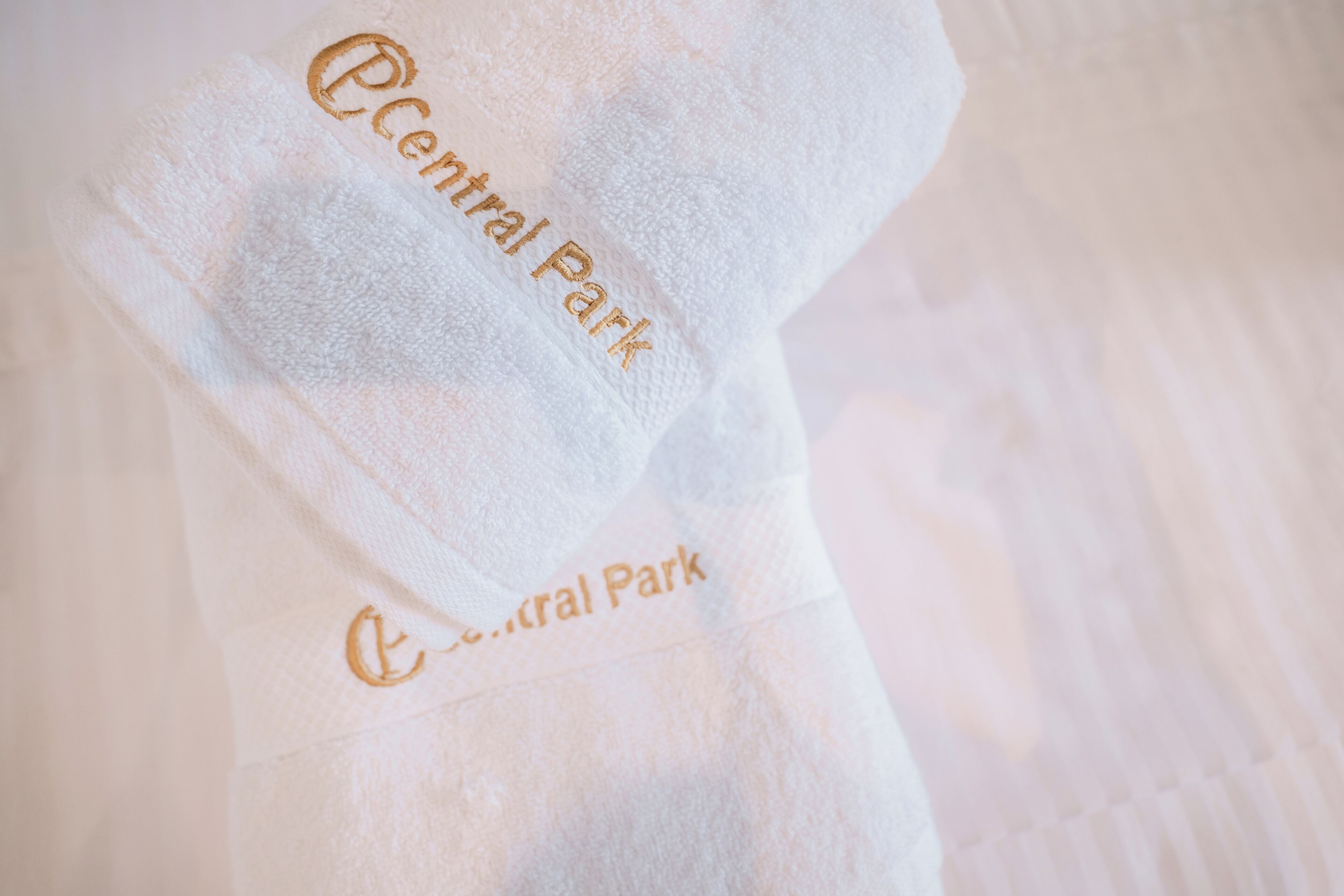 Foto - Central Park Premium Hotel