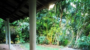 A covered outdoor area with a concrete floor and stone tiles, surrounded by lush greenery and trees.