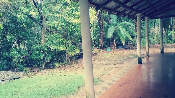 A covered outdoor area with a wooden floor, surrounded by greenery and trees.