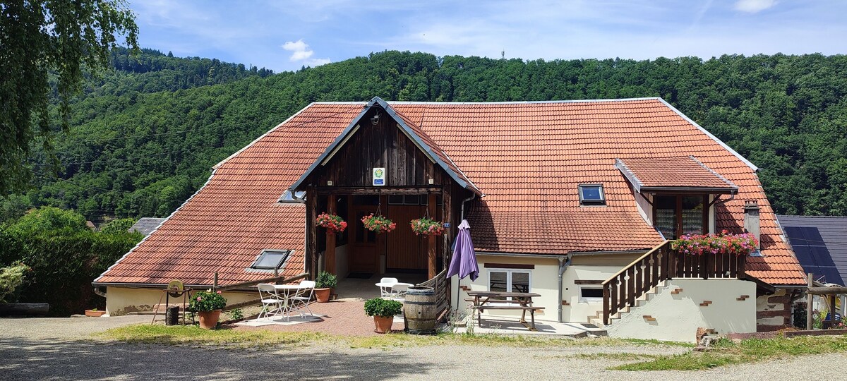 Image de profil de l’hôte