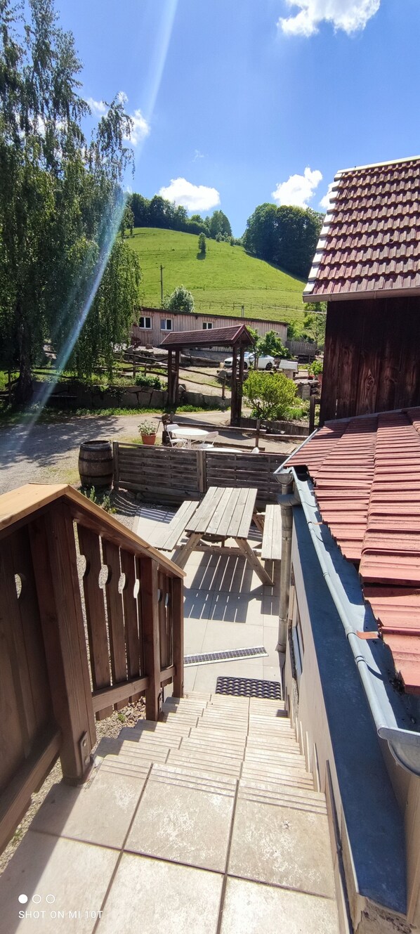 Terras