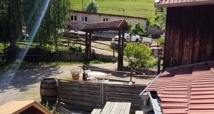 GĂTE LA PRUNE FAMILIALE Accommodation for 5 people.