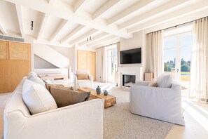 TV, fireplace, video games, DVD player