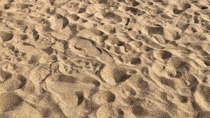 A sandy beach with footprints leading to the water. - Peace & Tranquility at The Hideaway Stay (Alford)