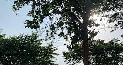 Romantic getaway between nature and comfort just 50km from Rome