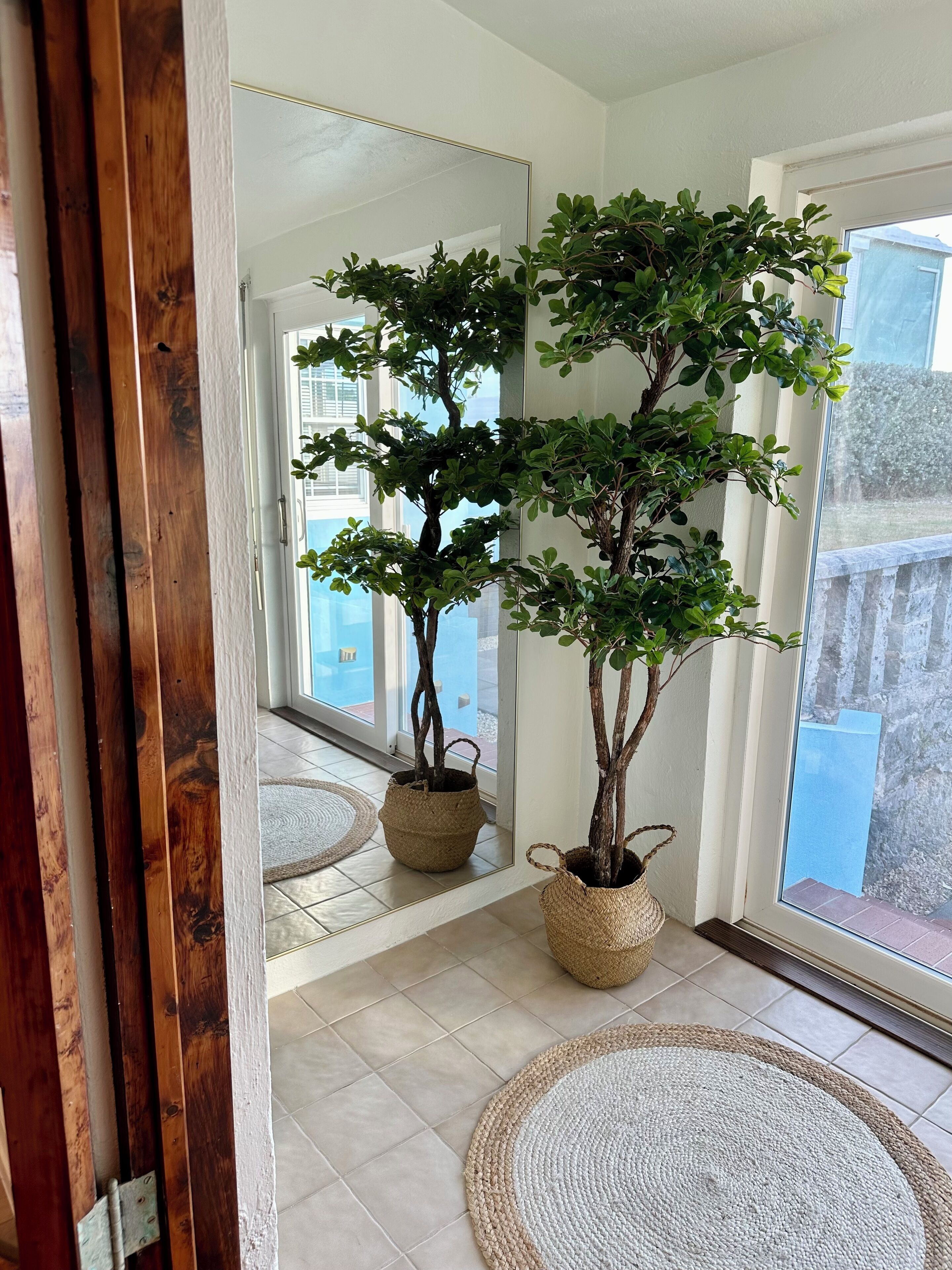 アパートメント 2 ベッドルーム パティオ オーシャンビュー | テラス / パティオ