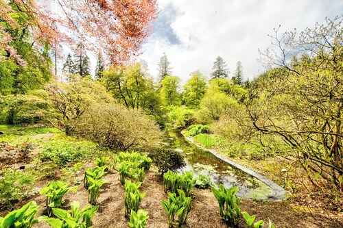 Spacious Argyll Farmhouse in an Idyllic Setting