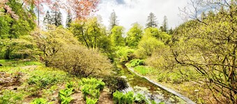 Spacious Argyll Farmhouse in an Idyllic Setting