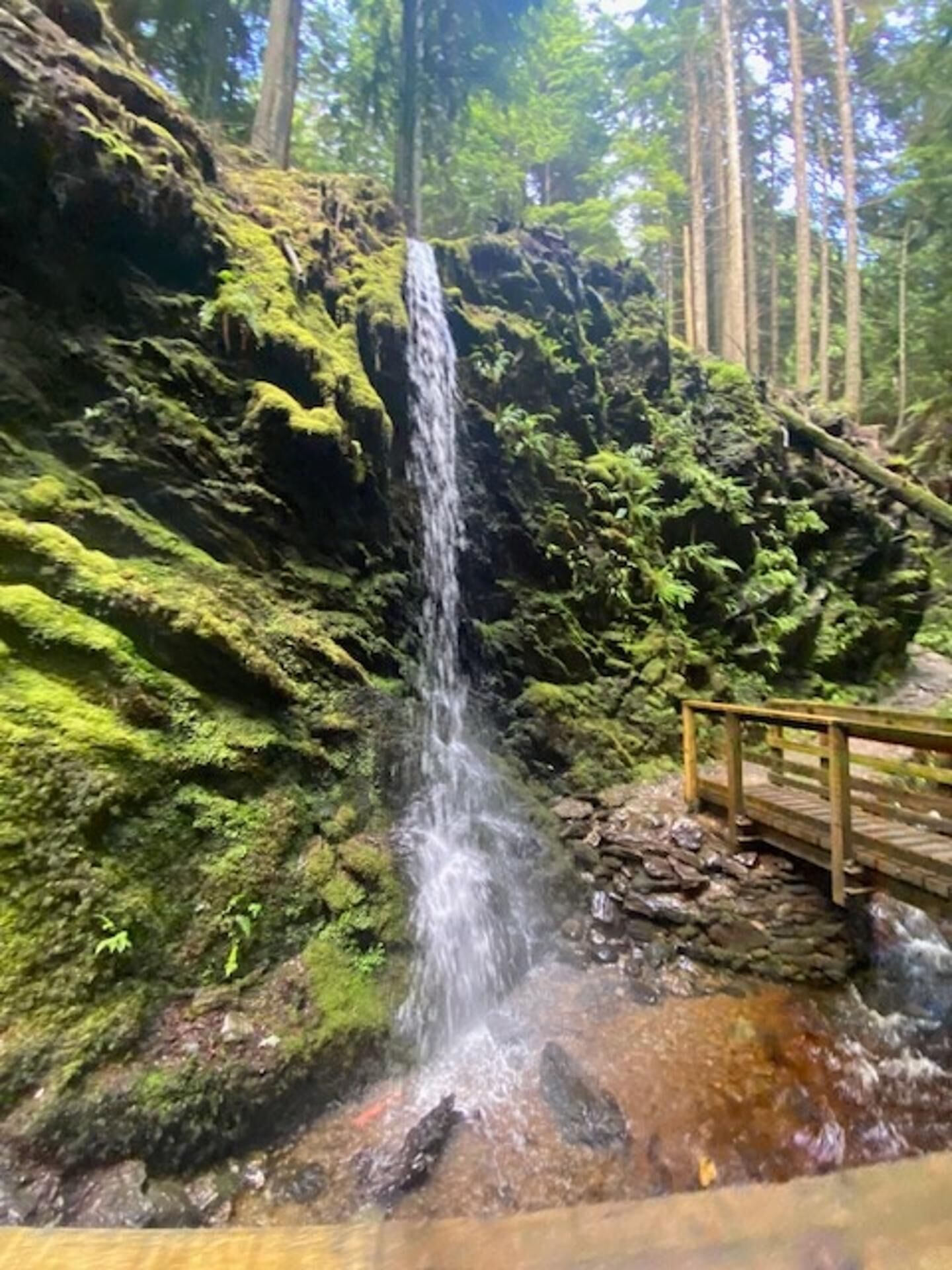 A waterfall cascading down a moss-covered rock face in a forested area with a wooden bridge.