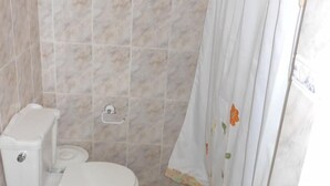 Une salle de bain avec des toilettes, une douche et un rideau.