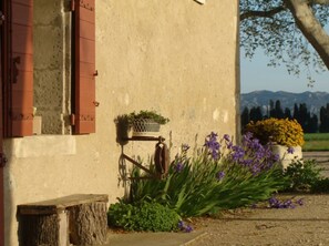 Overnattingsstedets uteområder