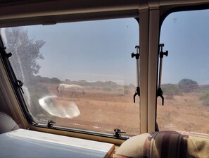 Mobile Home, 1 Bedroom, Smoking | Interior