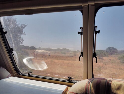 Uljanas Caravana for 2 With View of the Rescued Horses