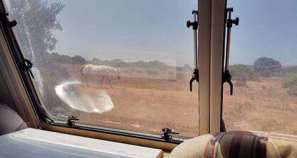 Uljanas Caravana for 2 With View of the Rescued Horses