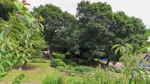 Un jardin luxuriant, avec une variété de plantes et d’arbres, un sentier et une voiture bleue garée près d’un bâtiment.