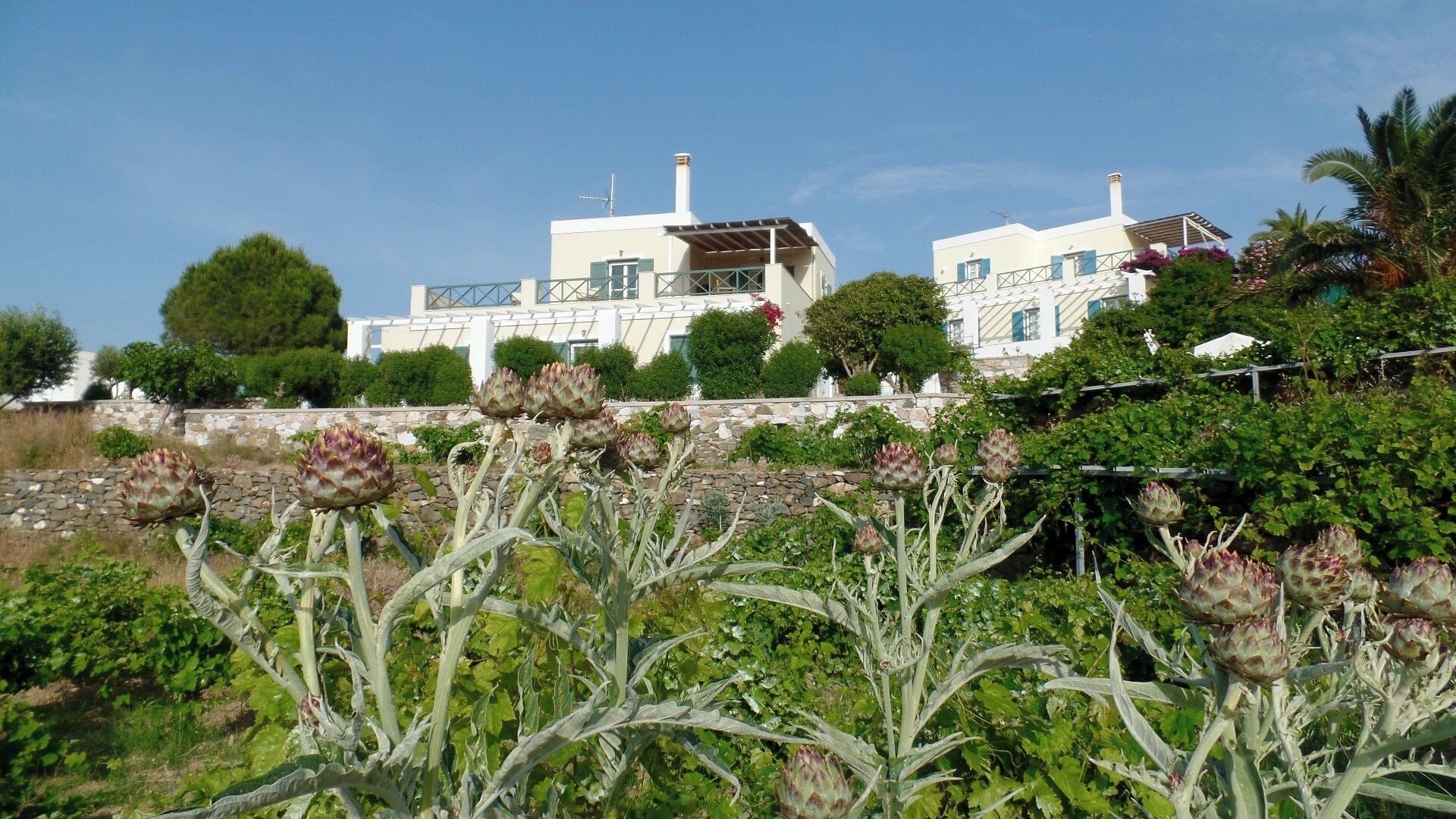 Áreas de la propiedad