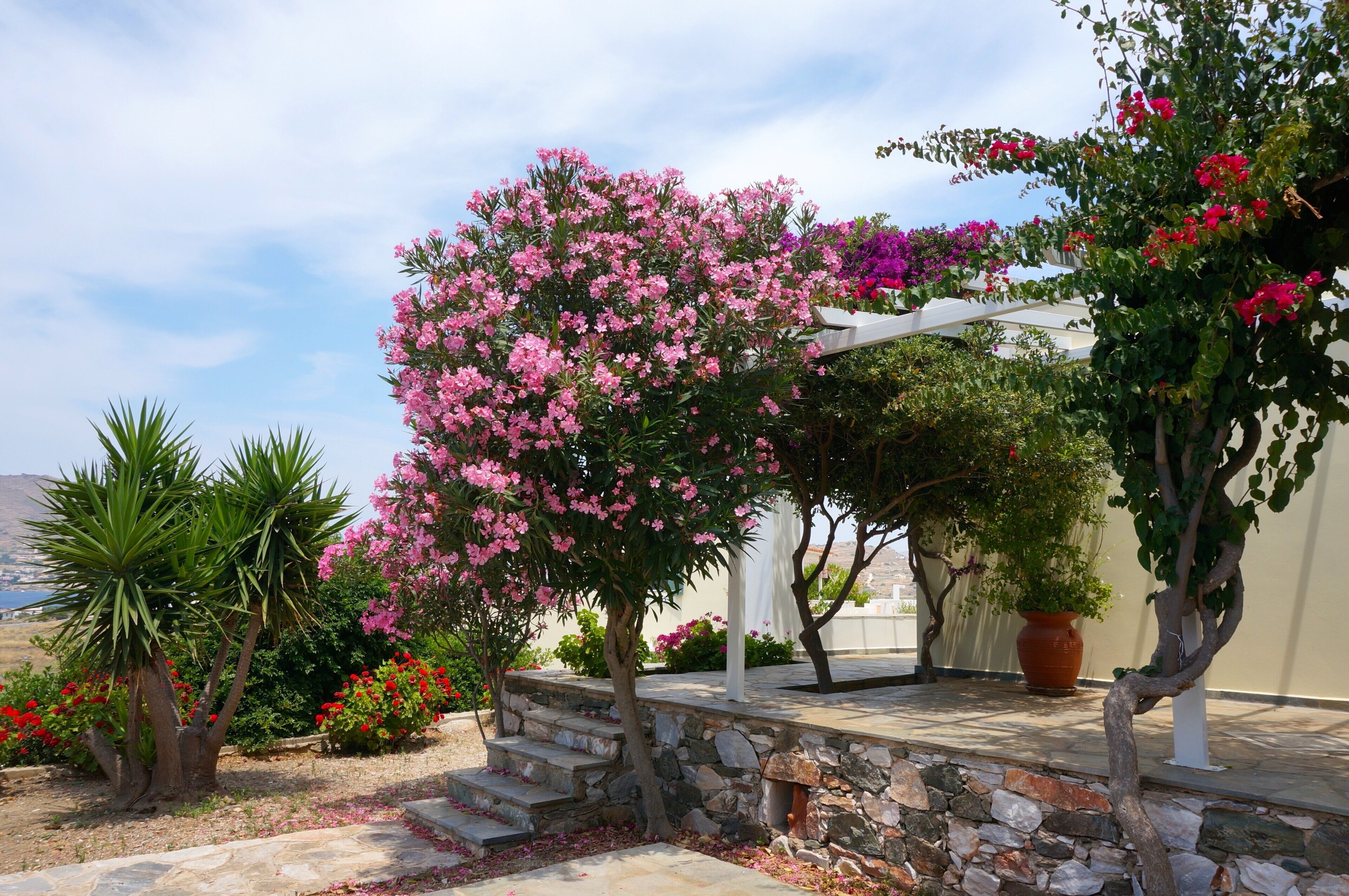 Áreas de la propiedad