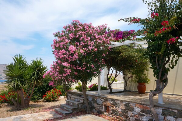 Property grounds - Holiday Home 'Sunset Retreat Marie' with Sea View, Wi-Fi and Air Conditioning (Poseidonia/Syros)