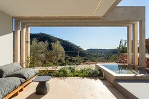 Premium Villa | View from room