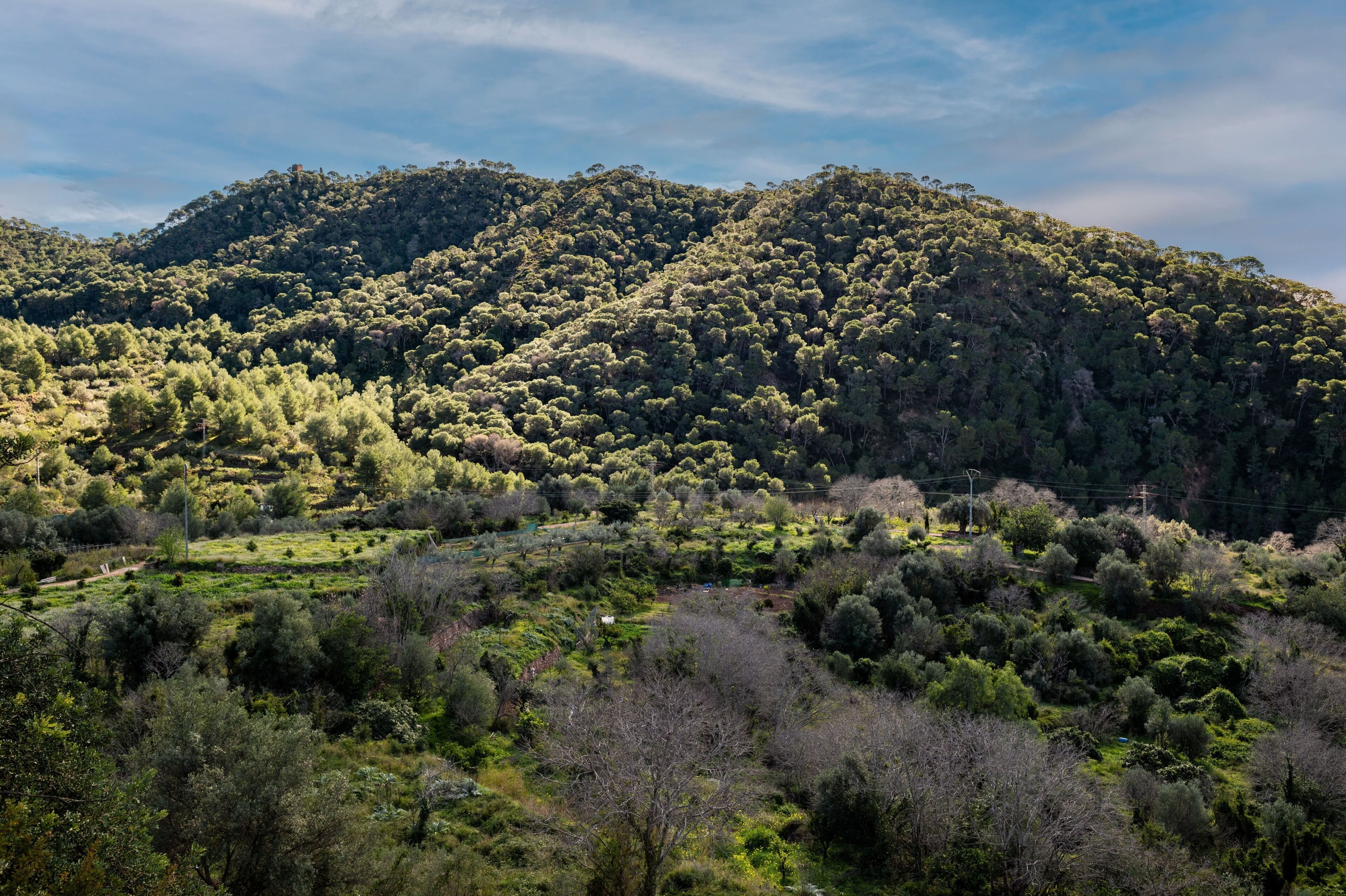 Foto - Hotel Boutique Serra Nature