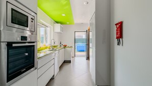 Une cuisine moderne avec des appareils en acier inoxydable, un plafond vert et une vue sur l’extérieur.