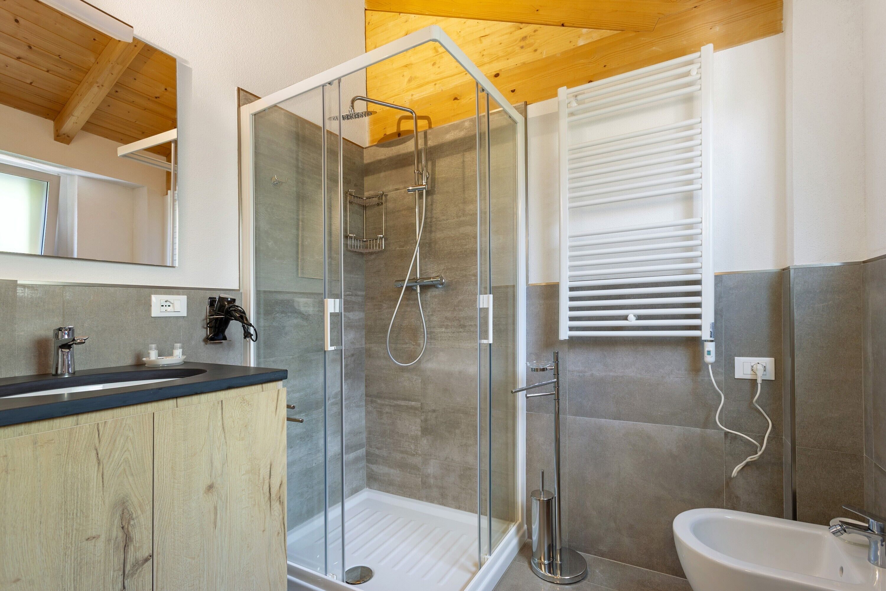 Shower, hair dryer, towels