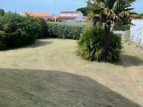 المنطقة المحيطة بالمنشأة