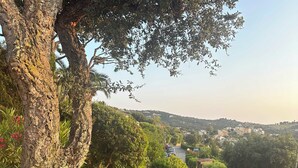 A tree with a potted plant at its base, a rock, and a view of a residential area in the distance. - House with splendid view - Grosseto-Prugna (Grosseto-Prugna)