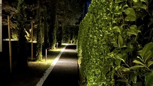 Un chemin bordé de verdure et flanqué d’un bâtiment.