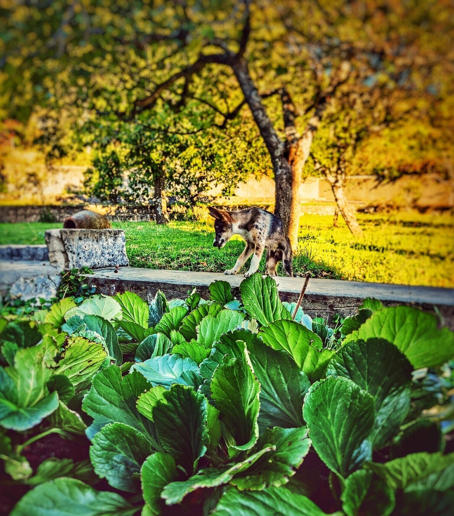 Áreas de la propiedad