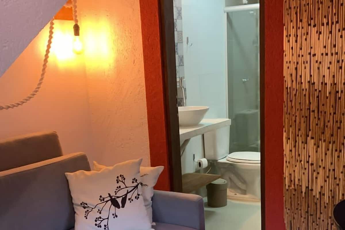 Una sala de estar moderna con un sofá gris, un cojín blanco con diseño de pájaro y una pared de madera con listones verticales.