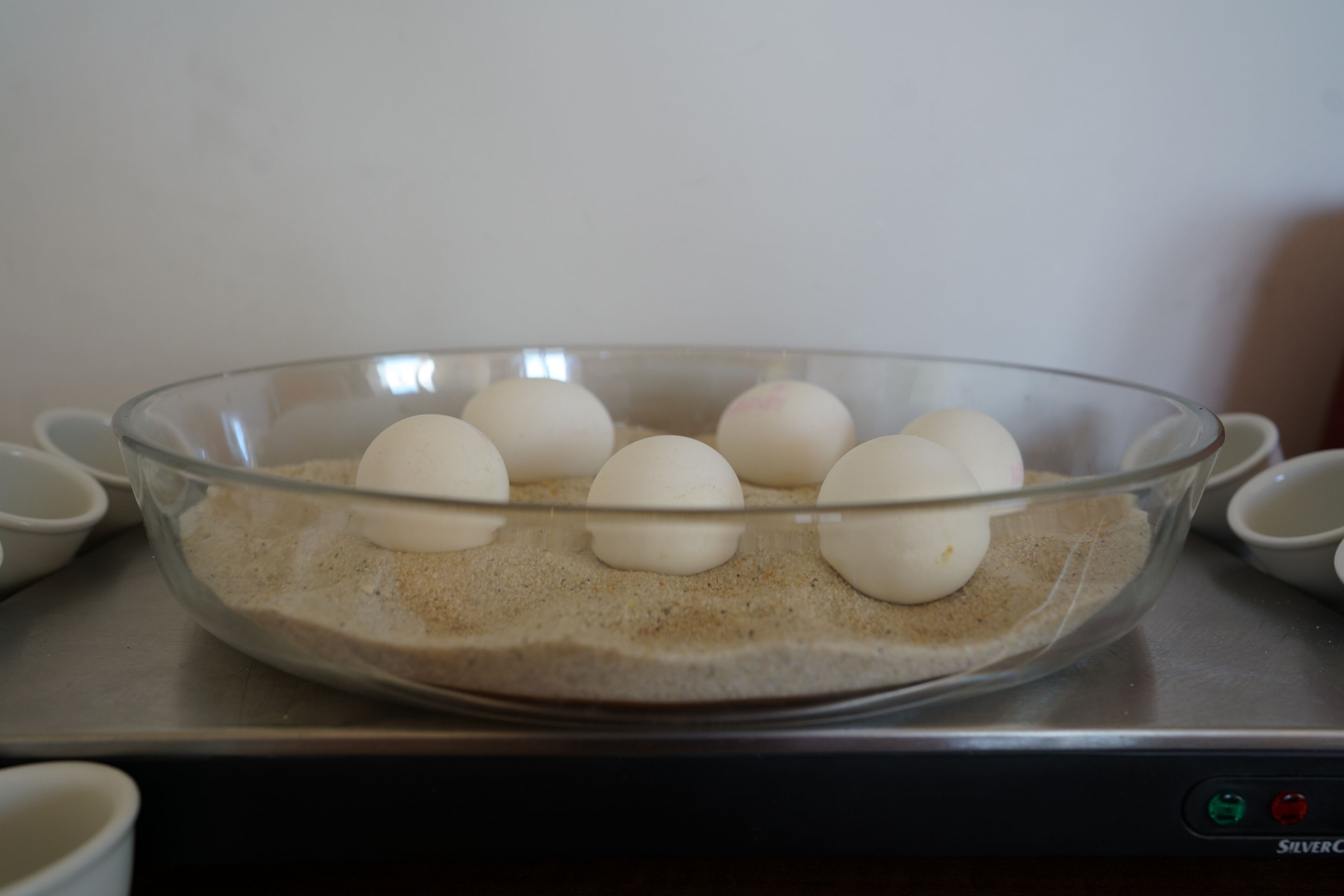 A clear glass bowl containing six eggs on a kitchen counter.