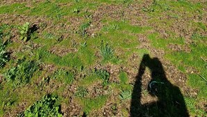 Una casa moderna de dos pisos con techo plano, amplios ventanales y un amplio jardín delantero.