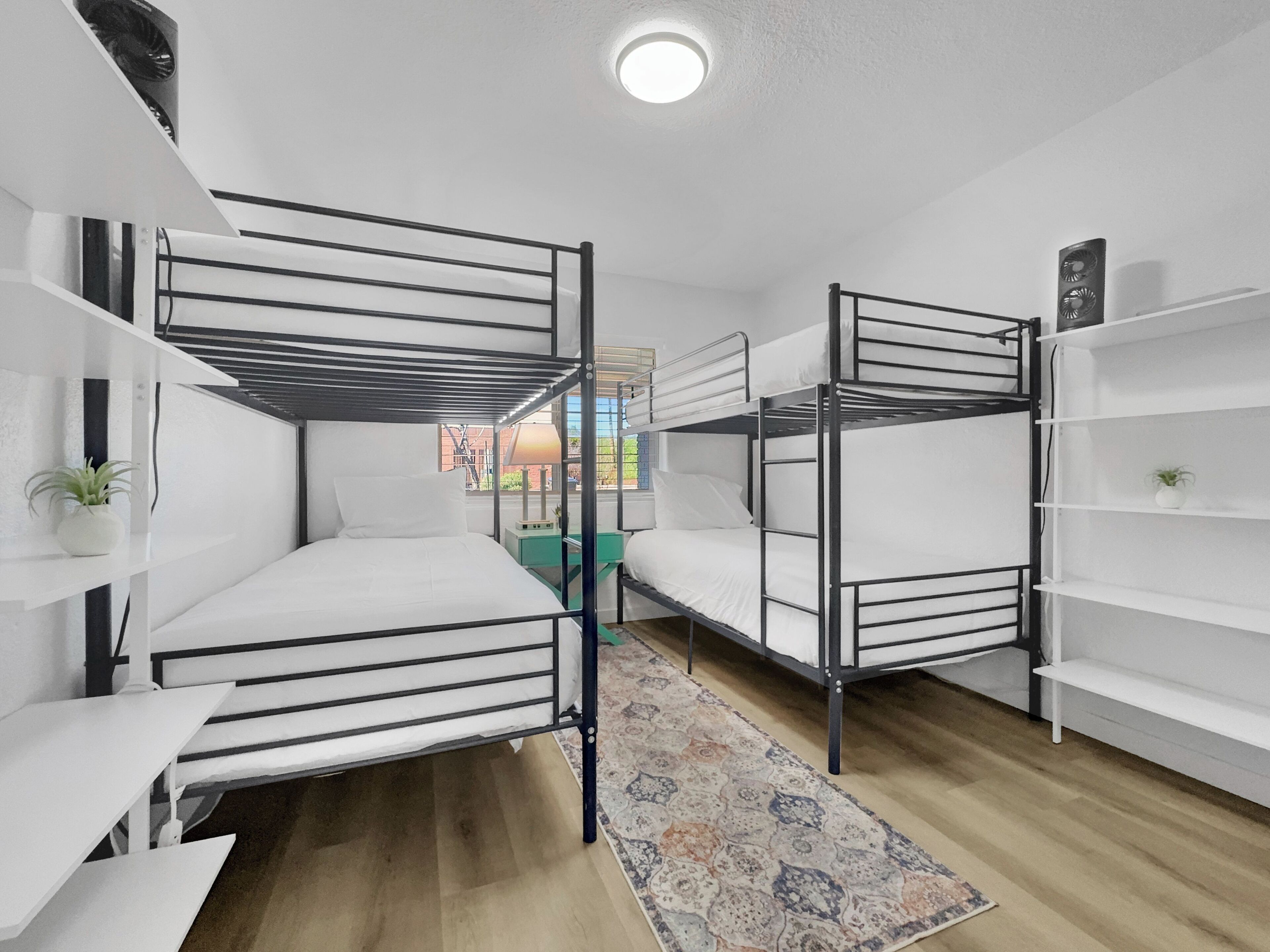 A dormitory room with bunk beds, white walls, a small window, and a green rug.
