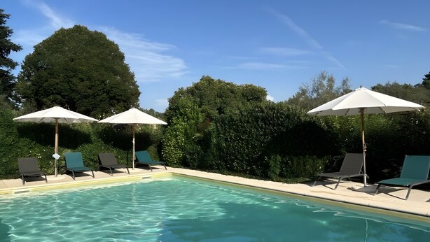 Une piscine entourée de verdure, avec des chaises longues et des parasols.