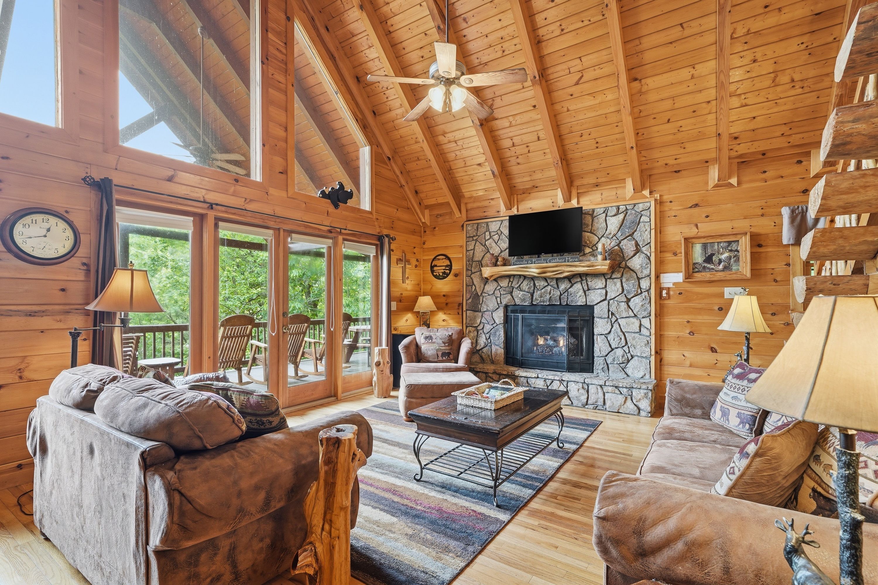TV, fireplace, books