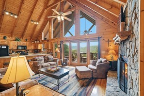 TV, fireplace, books