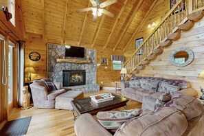 TV, fireplace, books