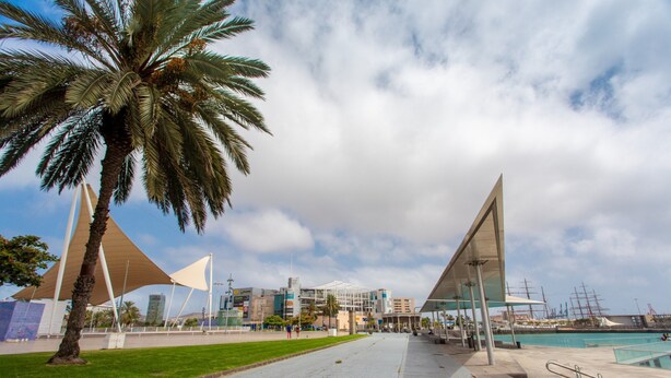 A modern architectural structure with a glass facade and a palm tree in the foreground. - Apartment in Las Palmas Near Las Canteras Beach (Las Palmas de Gran Canaria)