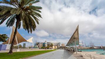 A modern architectural structure with a glass facade and a palm tree in the foreground.