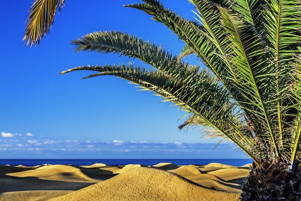 House | Exterior - Apartment Las Palmas Near Playa de Las Canteras (Las Palmas de Gran Canaria)
