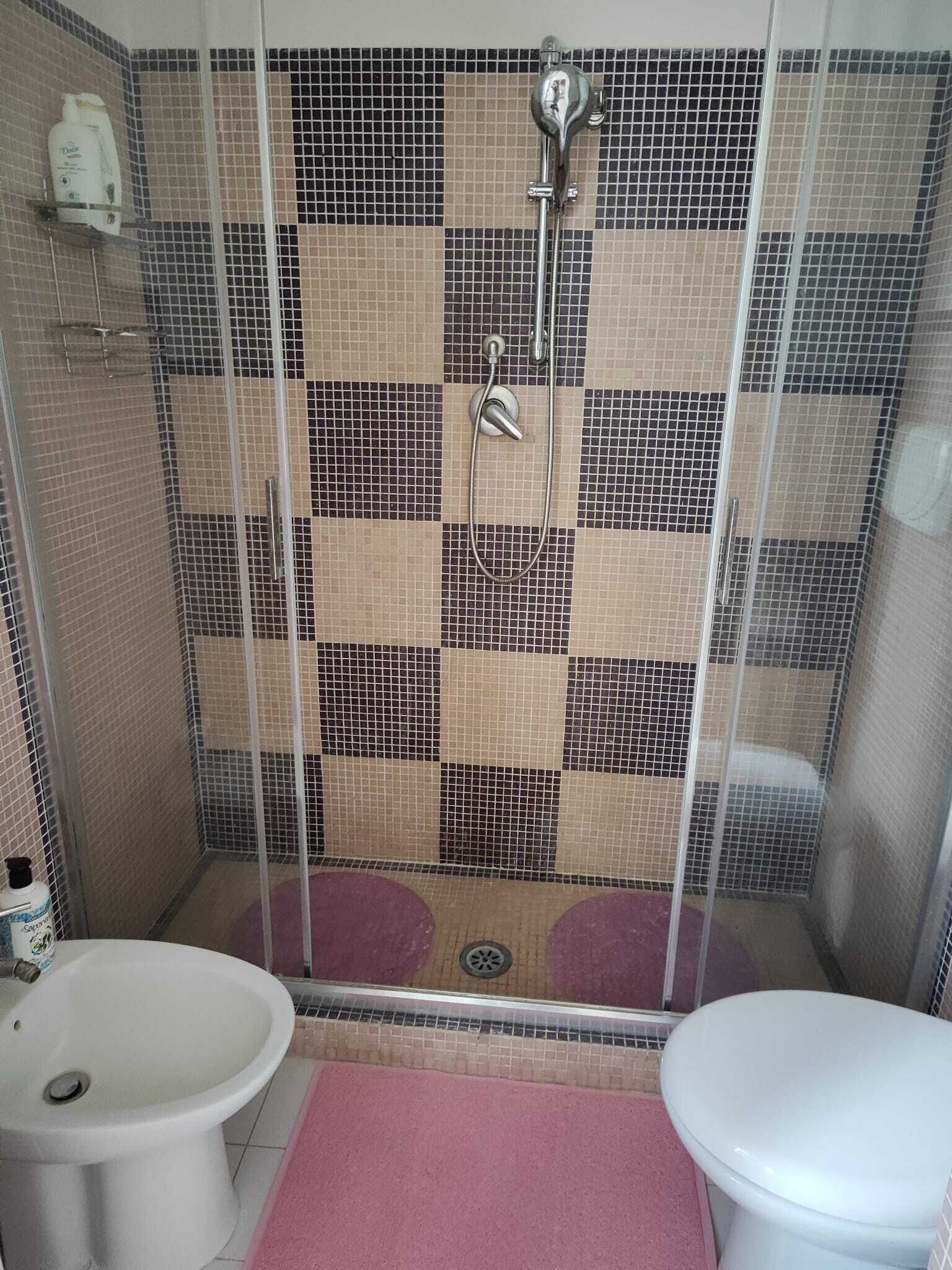Dusche, Haartrockner, Bidet, Handtücher