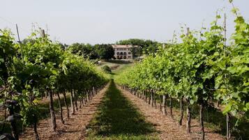 Jardines del alojamiento