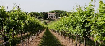 Villa Marani monte matello