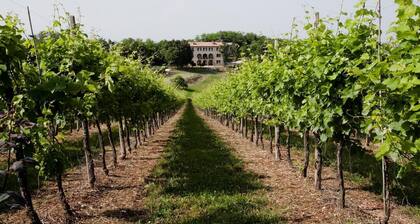 Villa Marani monte matello