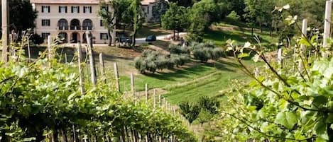 Enceinte de lâhĂ©bergement