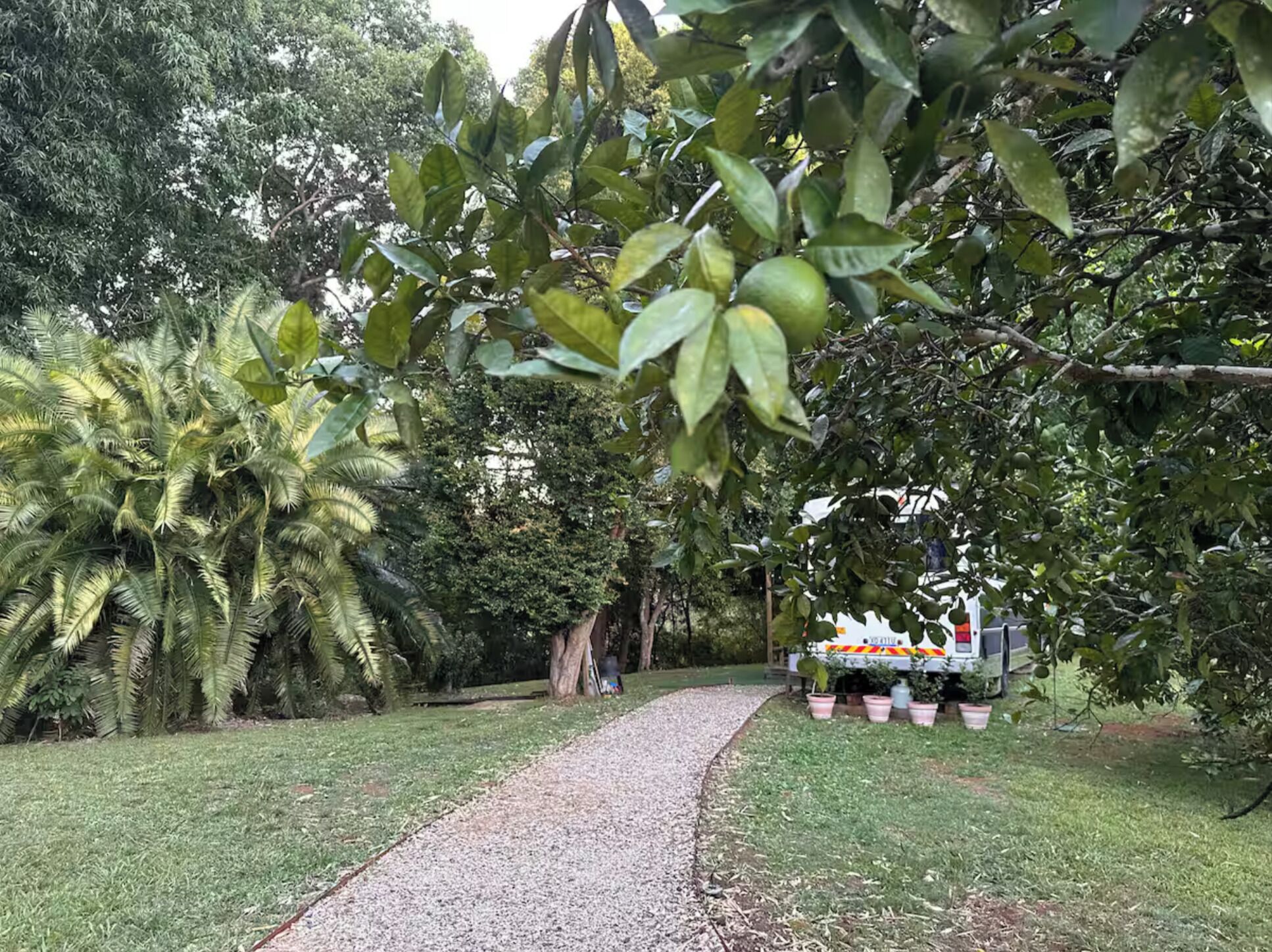 Un sendero en un parque con árboles y una ambulancia estacionada.